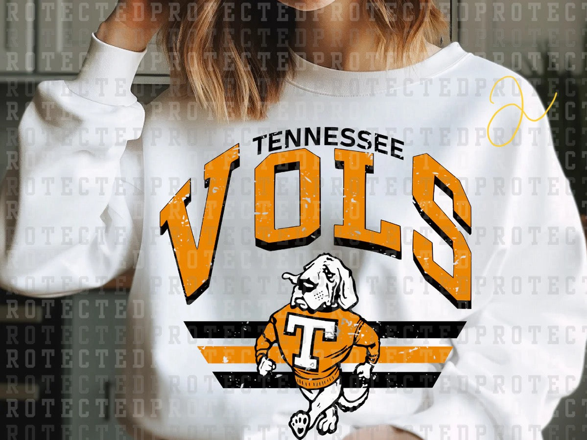 Go Vols